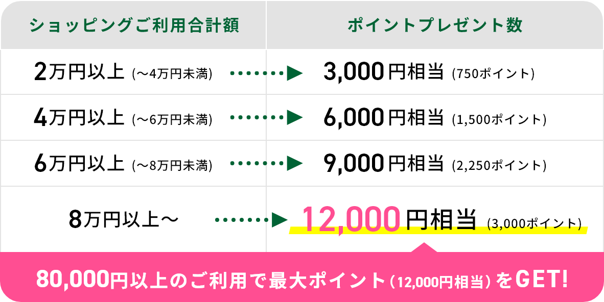 80,000円以上のご利用で最大ポイント(12,000円相当)をGET!